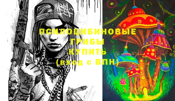 ПСИЛОЦИБИНОВЫЕ ГРИБЫ Бородино