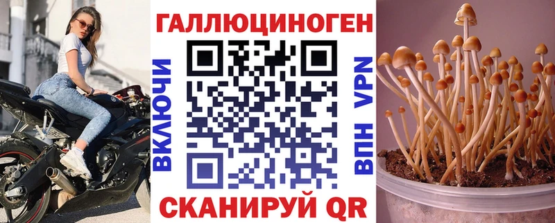 Псилоцибиновые грибы Magic Shrooms  Десногорск 